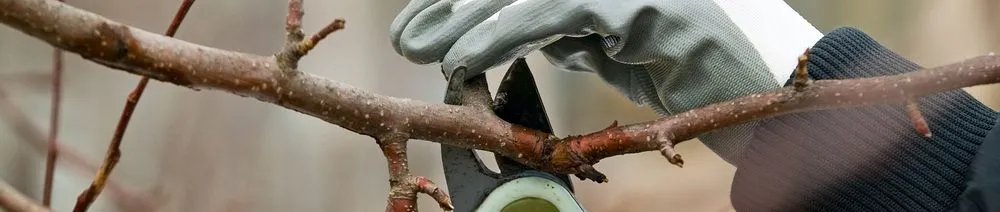 Local outdoor landscaping for outdoor upgrades across Fort Wayne, IN - Bill's Lawn Care