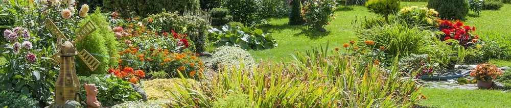 Affordable yard cleanup service experts serving Fort Wayne, IN - Bill's Lawn Care