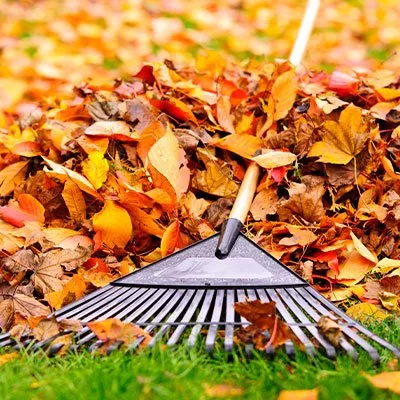 Local landscaping services near you in Fort Wayne, IN by Bill's Lawn Care