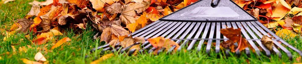 Professional garden landscaping in Fort Wayne, IN - Bill's Lawn Care