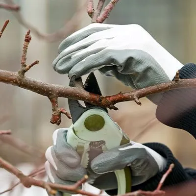 Expert landscape design near you across Fort Wayne, IN - Bill's Lawn Care