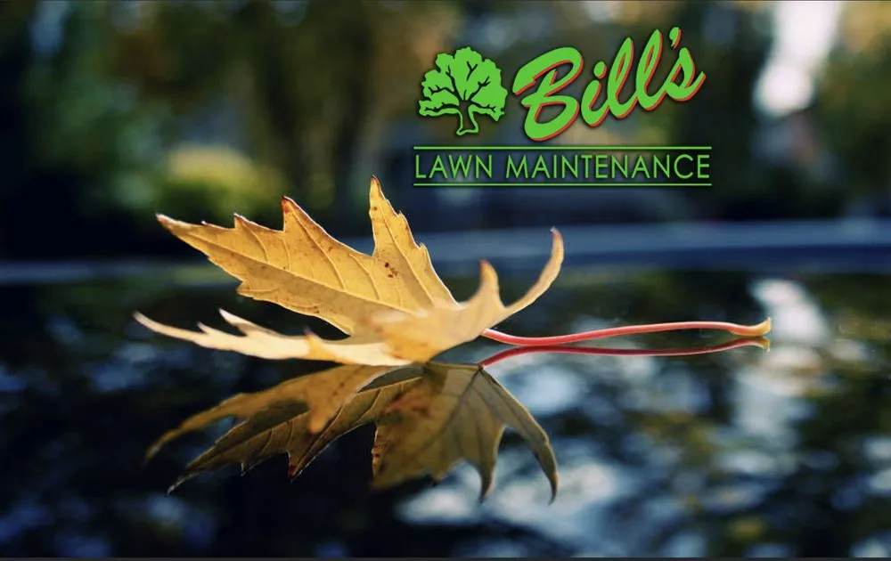 Top-rated yard maintenance for residential properties across Frankfort, IL - Bill's Lawn Maintenance & Landscaping
