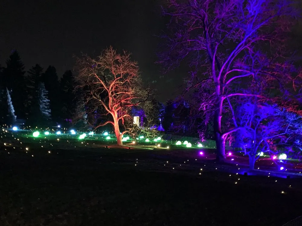 Local yard cleanup service experts serving Frankfort, IL - Bill's Lawn Maintenance & Landscaping