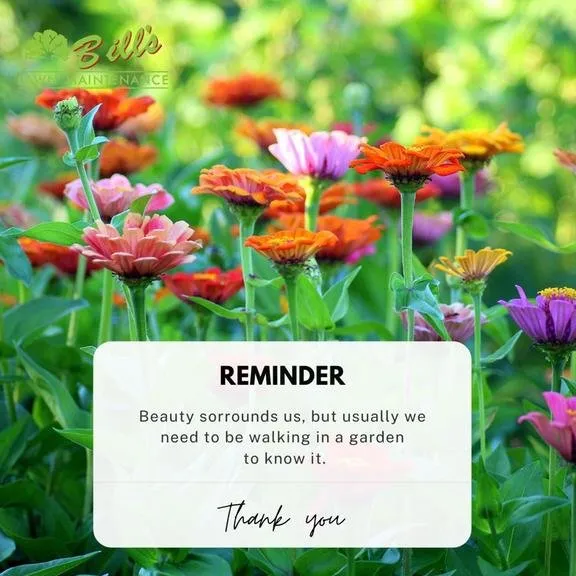 Reliable yard cleanup service in Frankfort, IL by Bill's Lawn Maintenance & Landscaping