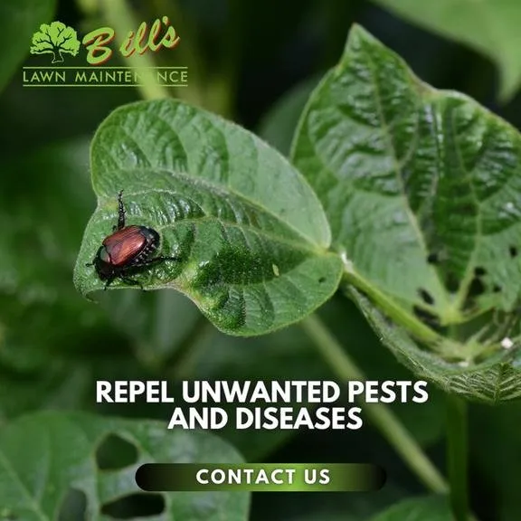 Reliable outdoor landscaping with custom design in Frankfort, IL by Bill's Lawn Maintenance & Landscaping