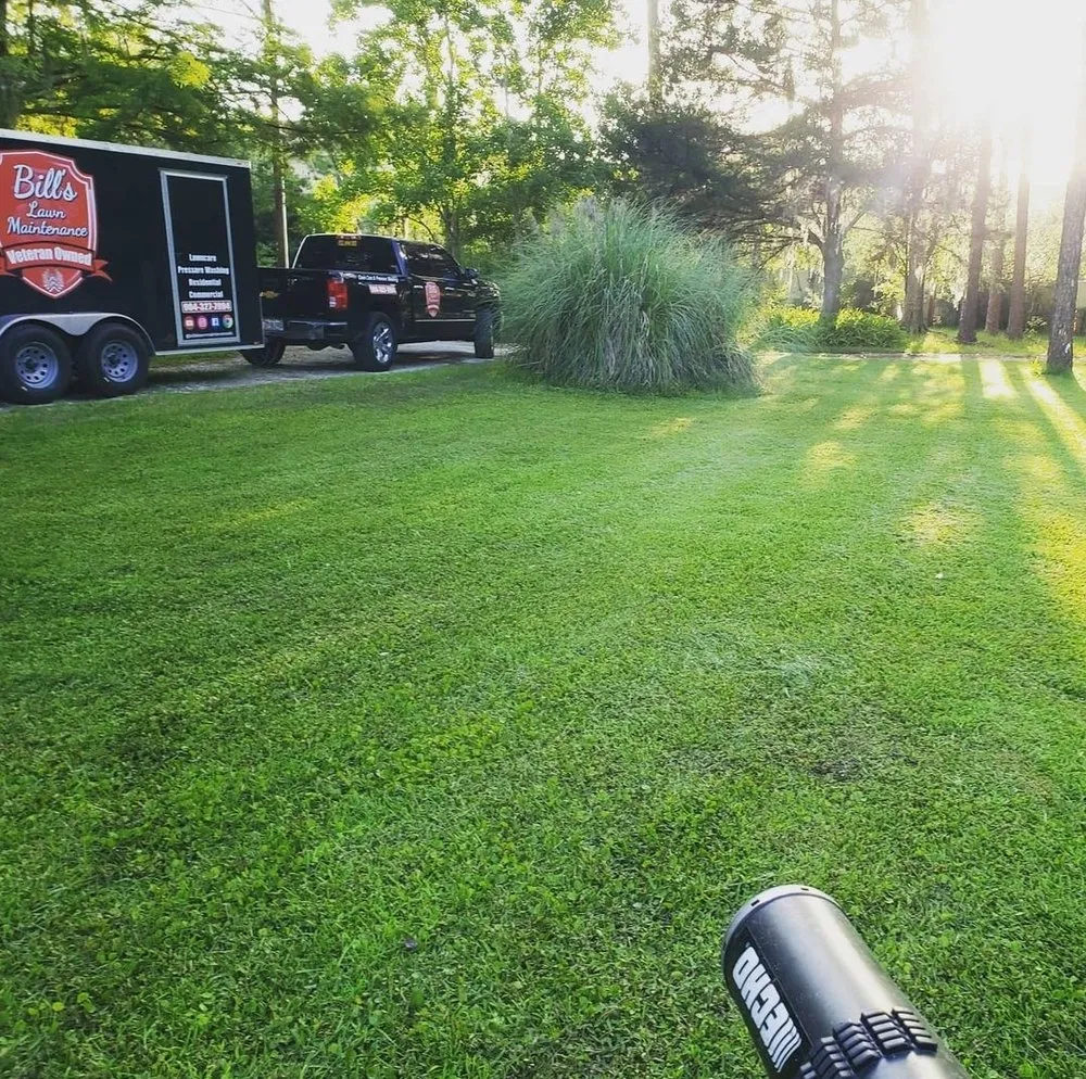 Trusted yard cleanup service in Middleburg, FL by Bill's Lawn Maintenance