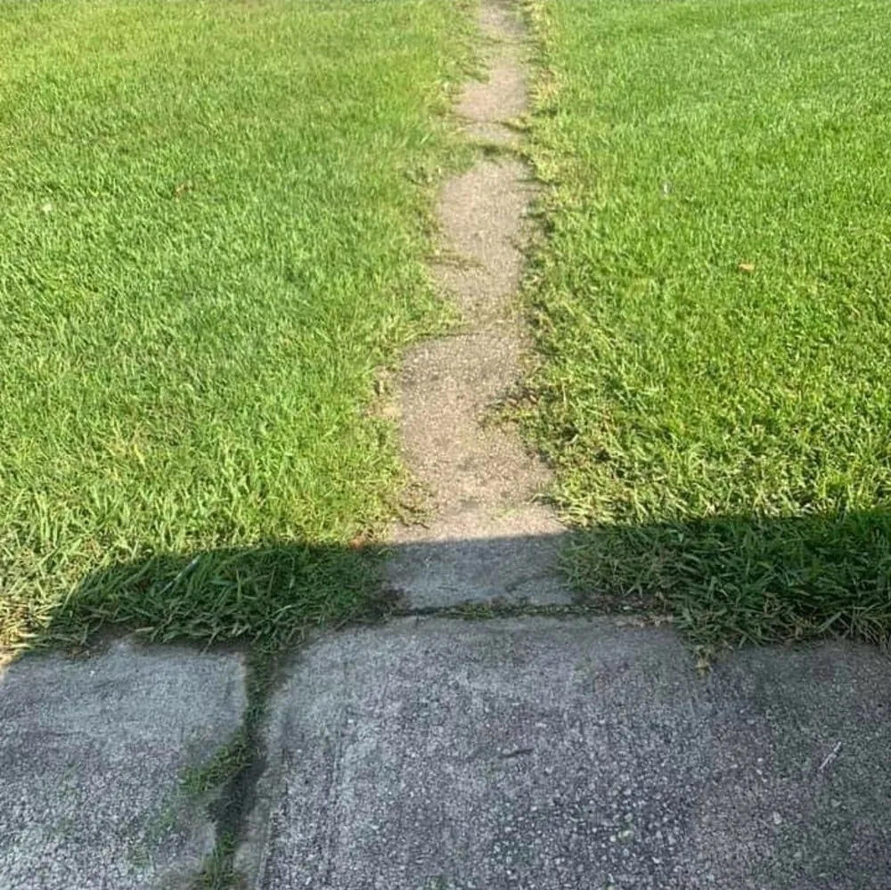 Trusted yard cleanup service for residential properties across Middleburg, FL - Bill's Lawn Maintenance