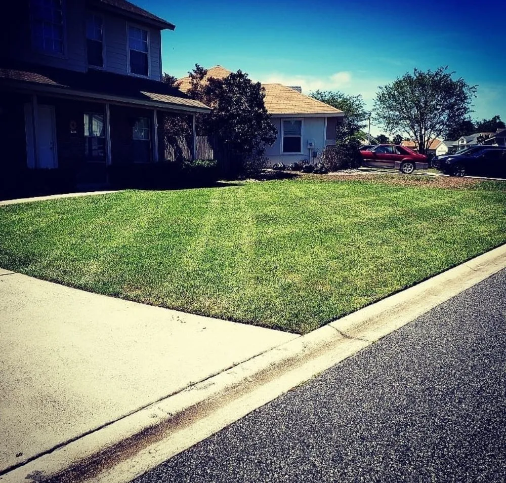 Expert yard cleanup service for outdoor upgrades across Middleburg, FL - Bill's Lawn Maintenance