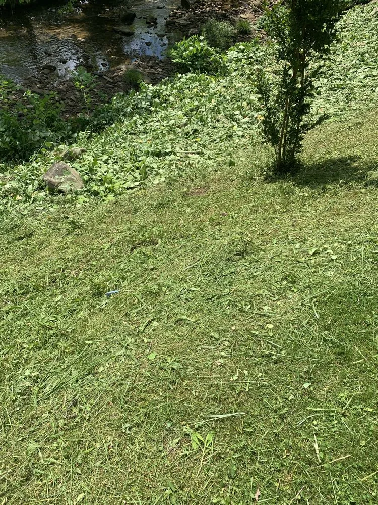 Top-rated landscape design experts serving Harlan, KY - Bills Lawncare