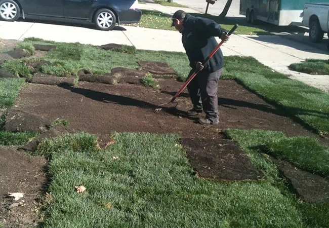 Professional outdoor landscaping for homes across Canton, MI - Bill's Outdoor Care