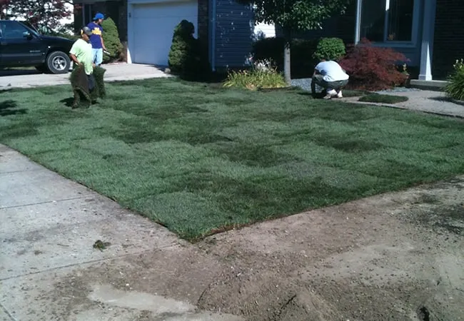 Top-rated lawn care service for residential properties across Canton, MI - Bill's Outdoor Care