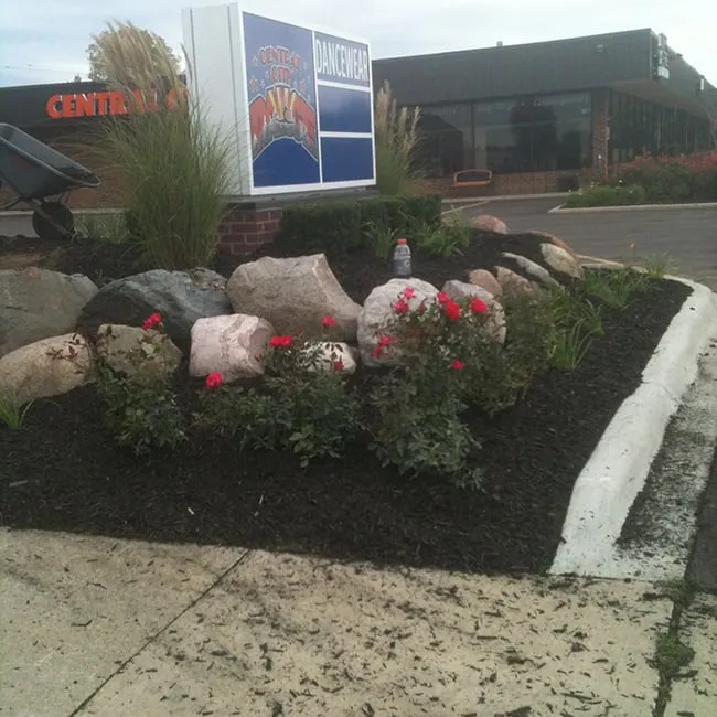 Top-rated yard cleanup service in Canton, MI by Bill's Outdoor Care