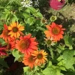 Affordable yard cleanup service in Falmouth, ME - Bill's Property Maintenance