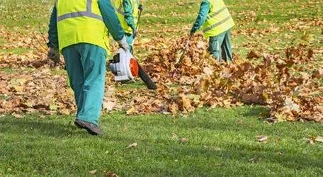 Reliable lawn care service in San Jose, CA - Bill's Tree Care & Landscape