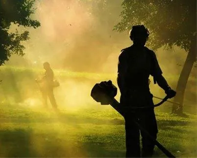 Local landscaping services in San Jose, CA - Bill's Tree Care & Landscape