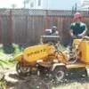 Reliable yard cleanup service in San Jose, CA - Bill's Tree Care & Landscape