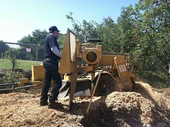 Custom outdoor landscaping for year-round maintenance across San Jose, CA - Bill's Tree Care & Landscape