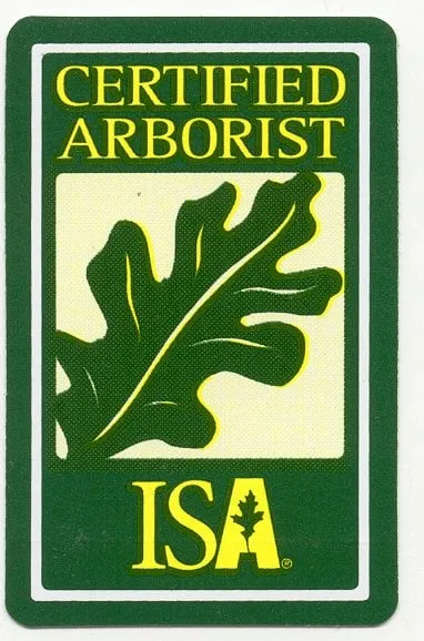 Professional outdoor landscaping with custom design across San Jose, CA - Bill's Tree Care & Landscape