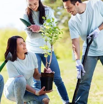 Trusted garden landscaping for year-round maintenance across San Jose, CA - Bill's Tree Care & Landscape