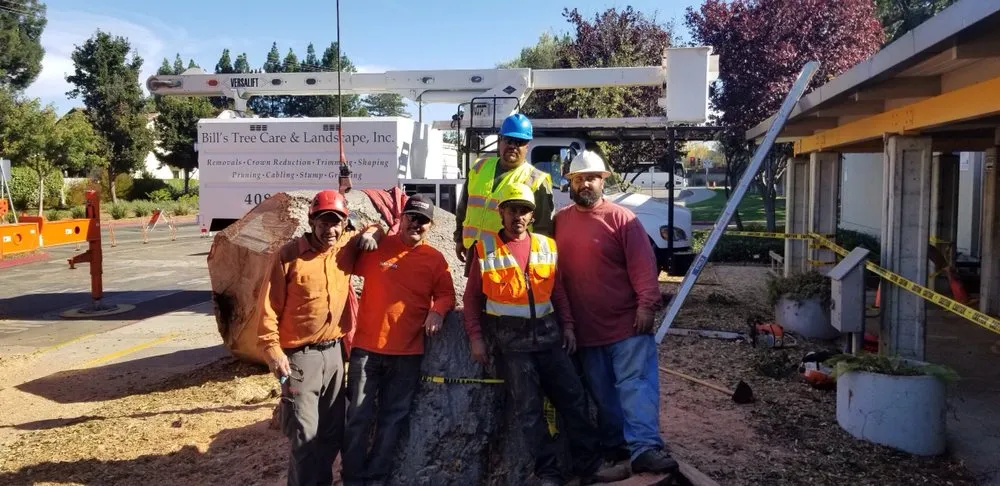 Reliable residential landscaping in San Jose, CA - Bill's Tree Care & Landscape