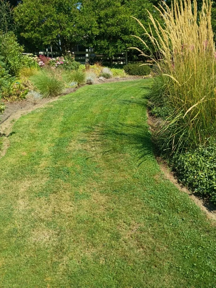 Local landscape design experts serving Beaverton, OR - Bills Yard Care