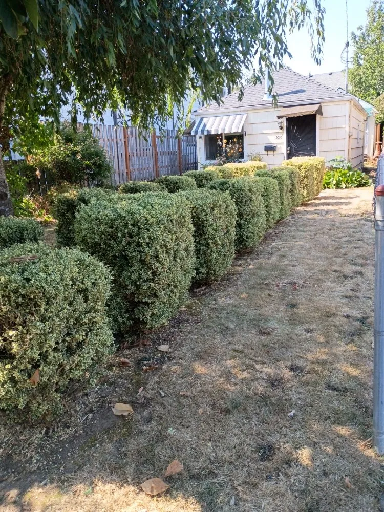 Top-rated landscape design experts serving Beaverton, OR - Bills Yard Care
