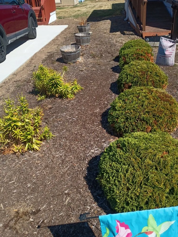 Reliable residential landscaping in Beaverton, OR by Bills Yard Care
