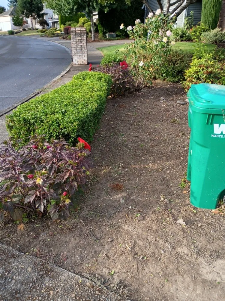 Affordable residential landscaping for homes in Beaverton, OR by Bills Yard Care