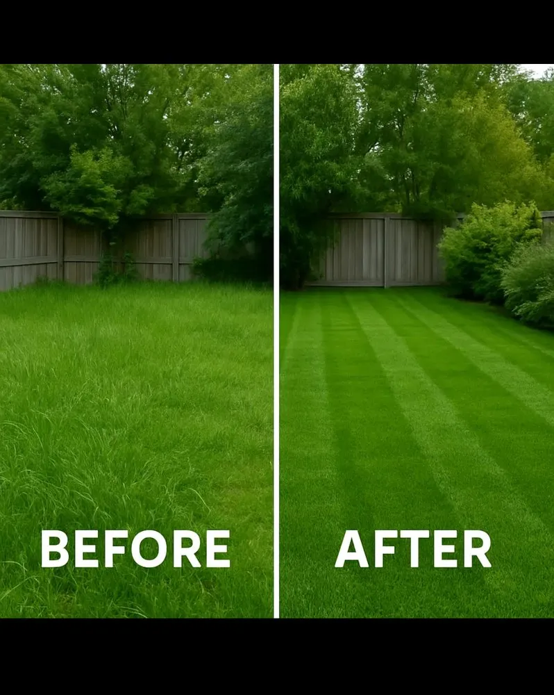 Expert lawn care service in East Chicago, IN - Billups Lawn Care