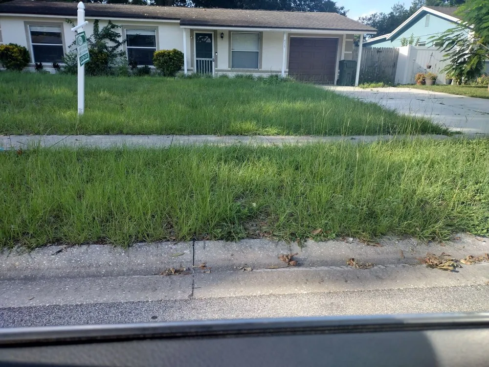 Local residential landscaping experts serving Ocoee, FL - Billy and Pam's Total Lawn Service