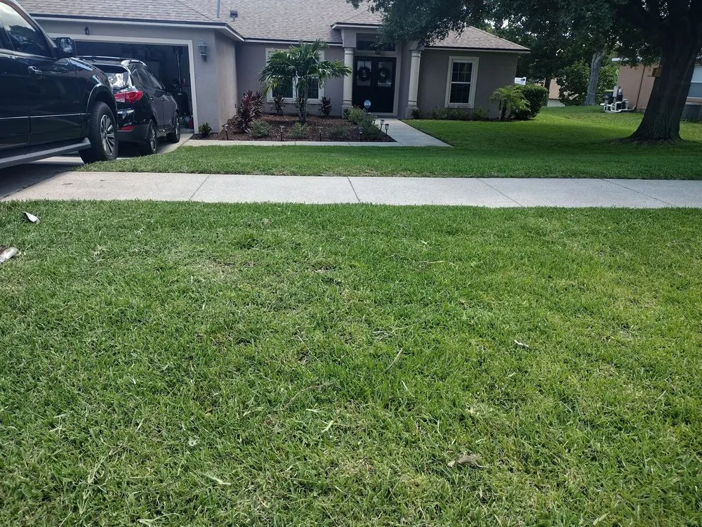 Trusted landscape design for beautiful yards in Ocoee, FL by Billy and Pam's Total Lawn Service