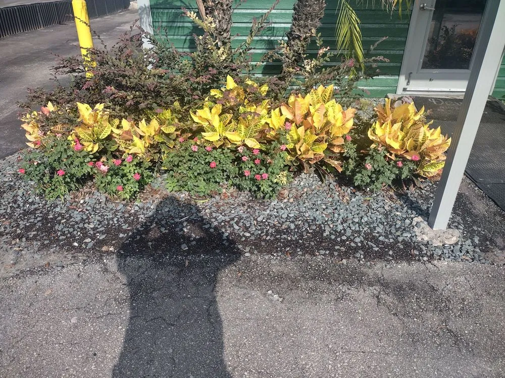 Top-rated outdoor landscaping for beautiful yards in Ocoee, FL by Billy and Pam's Total Lawn Service