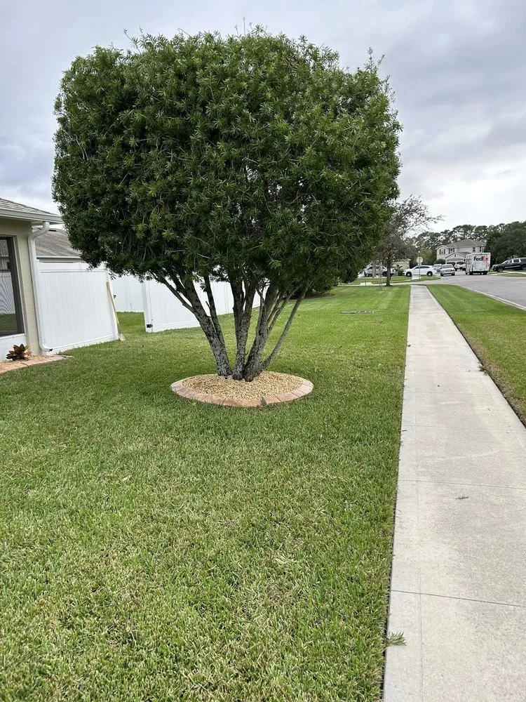 Expert yard cleanup service in PT ORANGE, FL by Billy D Landscaping Lawn Care