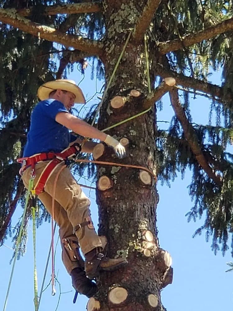 Local outdoor landscaping experts serving Lebanon, NJ - Billy Goat Excavation