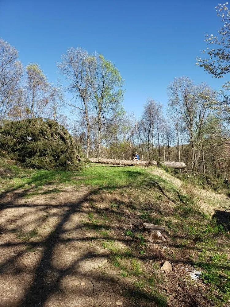 Expert lawn mowing service in Lebanon, NJ by Billy Goat Excavation