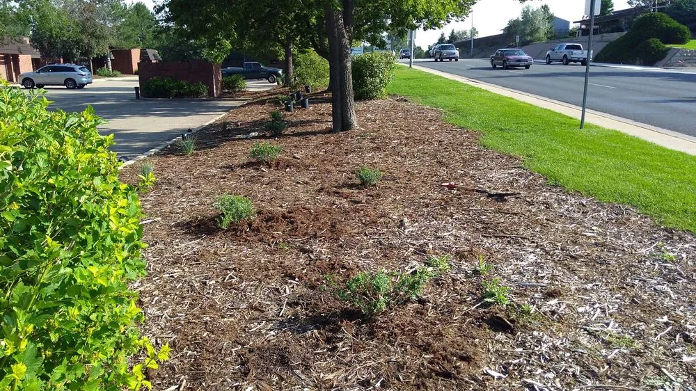 Expert outdoor landscaping in Greeley, CO - Billy Goat Landscape and Sprinklers