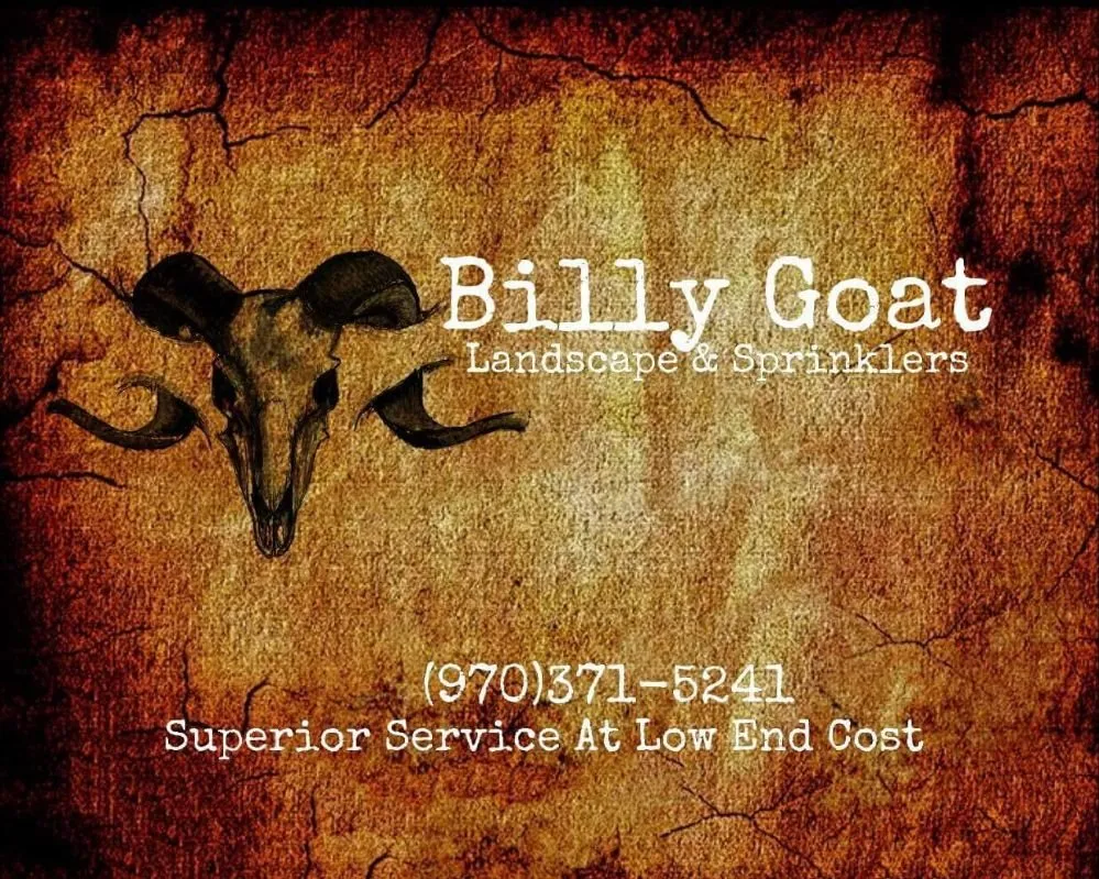 Local yard cleanup service experts serving Greeley, CO - Billy Goat Landscape and Sprinklers