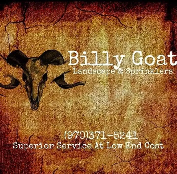 Expert yard maintenance in Greeley, CO by Billy Goat Landscape and Sprinklers