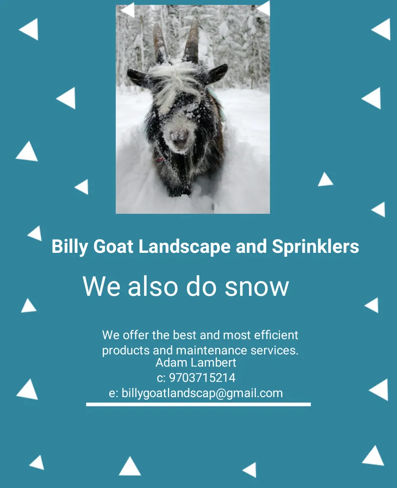Custom yard cleanup service in Greeley, CO - Billy Goat Landscape and Sprinklers