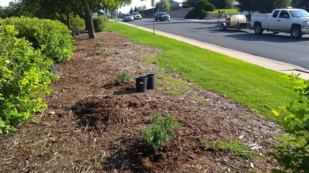 Professional yard maintenance in Greeley, CO - Billy Goat Landscape and Sprinklers