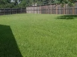 Trusted lawn care service for residential properties across Poteet, TX - Billy Goat Lawn Service