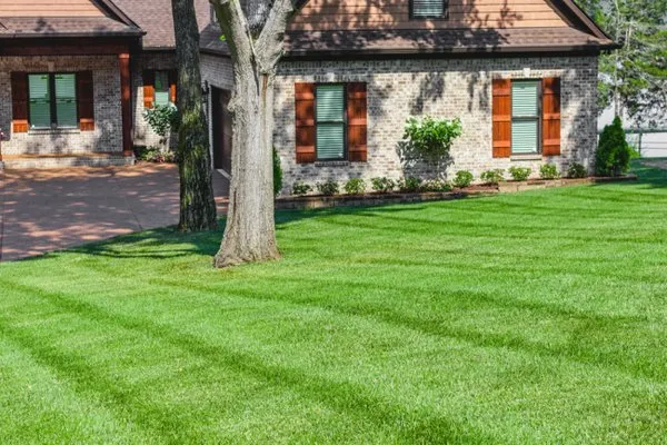 Billy Goat Lawn Service