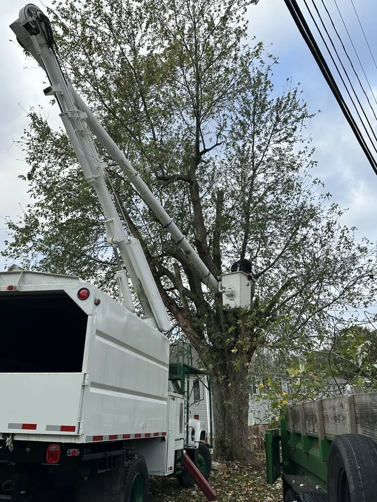 Expert garden landscaping experts serving Winchester, KY - Billy Hummer's Tree Service and Landscaping