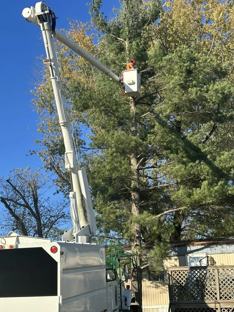 Affordable garden landscaping in Winchester, KY - Billy Hummer's Tree Service and Landscaping