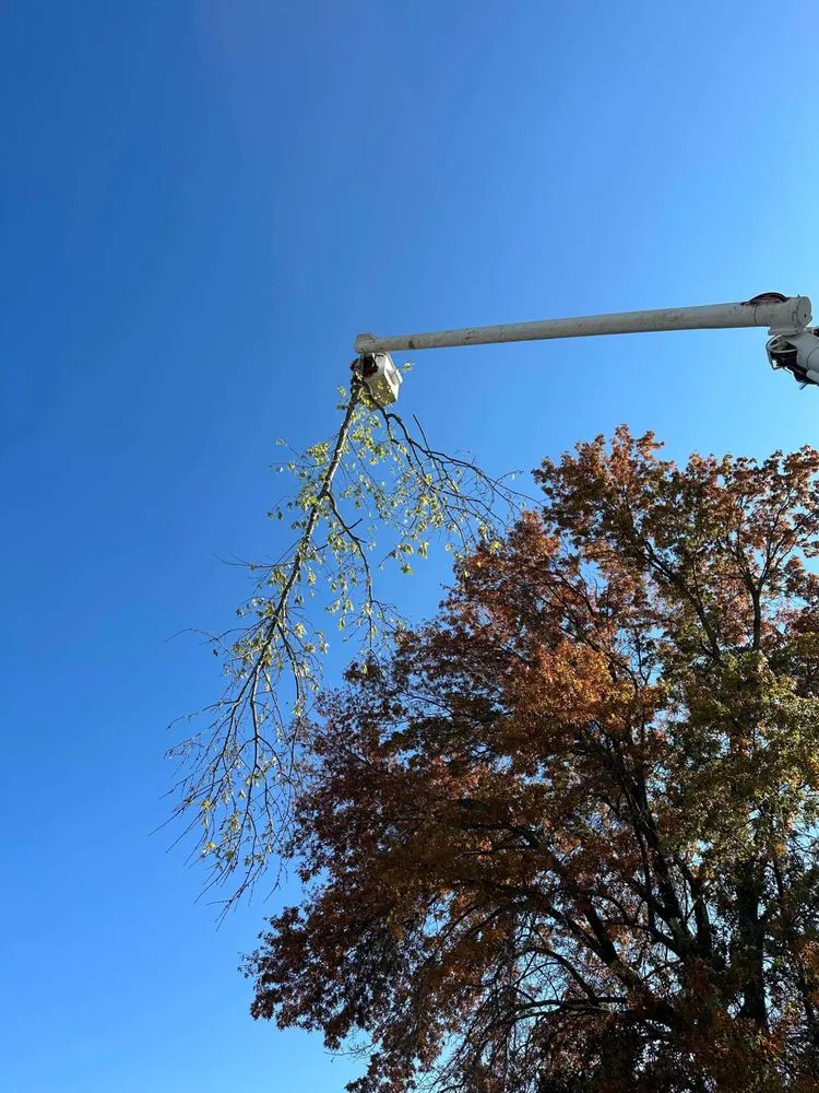 Affordable lawn mowing service for homes across Winchester, KY - Billy Hummer's Tree Service and Landscaping