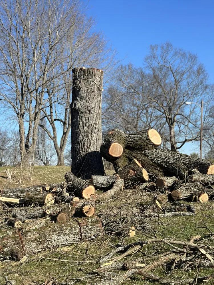 Trusted lawn care service in Winchester, KY by Billy Hummer's Tree Service and Landscaping