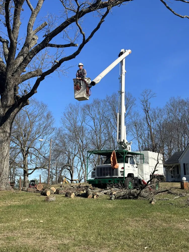 Trusted yard maintenance experts serving Winchester, KY - Billy Hummer's Tree Service and Landscaping