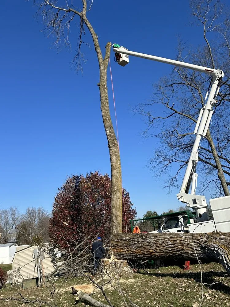 Professional yard maintenance in Winchester, KY by Billy Hummer's Tree Service and Landscaping