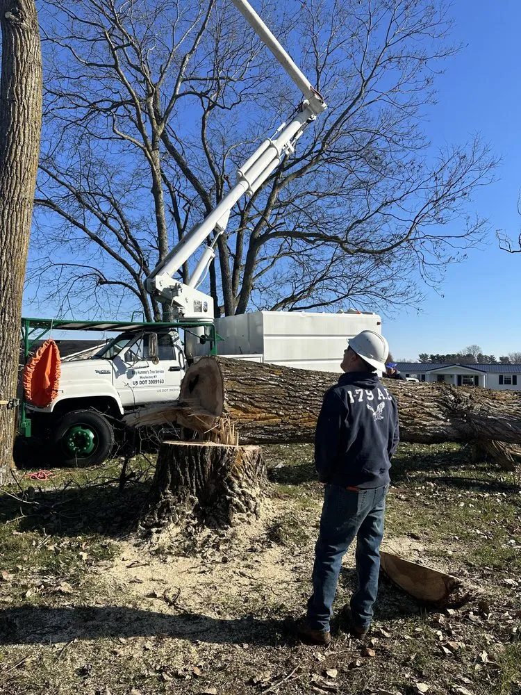 Trusted yard cleanup service for year-round maintenance in Winchester, KY by Billy Hummer's Tree Service and Landscaping