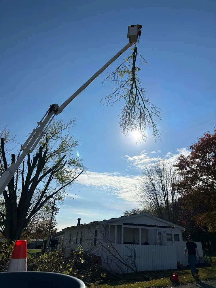 Trusted yard maintenance for homes in Winchester, KY by Billy Hummer's Tree Service and Landscaping